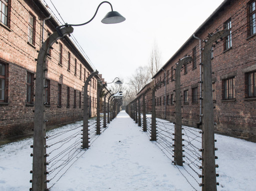 Auschwitz-Birkenau tour